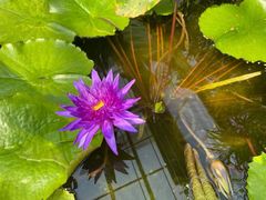 -国家植物园南园