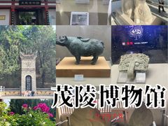 -茂陵博物馆