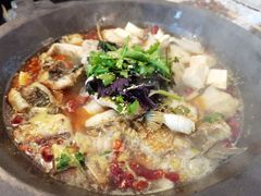 特色石锅鱼-辣出味岳阳特色烧烤·龙虾大排档(砂子塘总店)