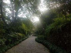 -法云古村