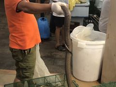 -荔城生鲜盛宴(番禺旗舰店)