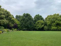 -上海共青森林公园