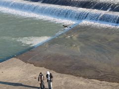 -圣母百花大教堂穹顶