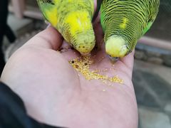 -南宫五洲植物乐园