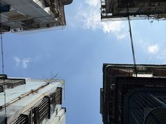 -共和老洪豆花草粿水粿