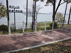 -金鸡湖桃花岛