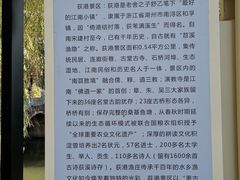 -丝绸小镇荻港古村