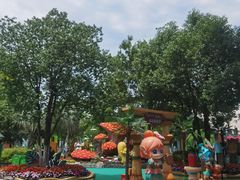 -苏州乐园森林水世界