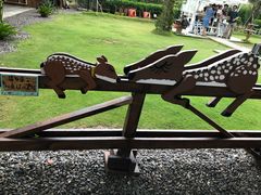 -鹿境梅花鹿生态园区