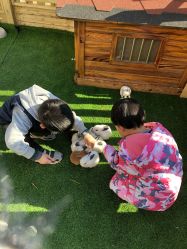 -萌宠亲子动物乐园(槐房万达店)