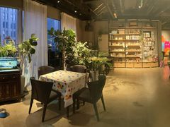 -百好乐宠物友好餐厅(朝外大街店)