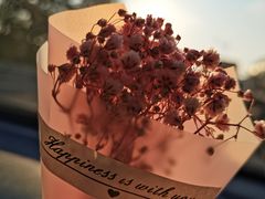 -杯子红牛排(西樵店)