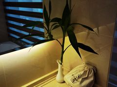 -兴芮温泉度假区