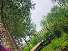 -东郊湿地公园