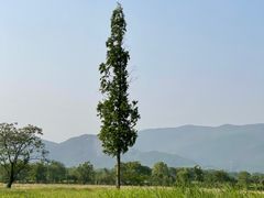 -良渚古城遗址公园