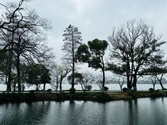 -浙江西子宾馆·瑶园咖啡厅