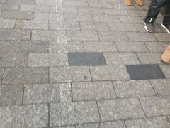 -老杨家熟食店