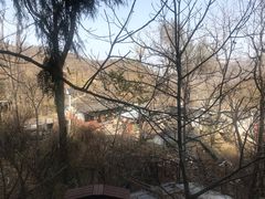 -南窖乡水峪村山情农家