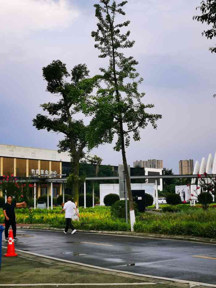香城竹韵·宴会厅-"[薄荷]场地布局:这个地方很大 可以做.