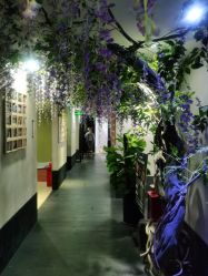 -盘子女人坊生日照·摄影馆(华强店)