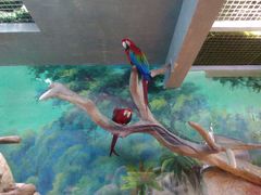 -福州罗源湾海洋世界旅游区