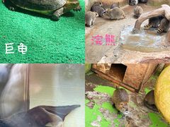 -杭州野生动物世界