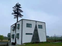 -漕湖湿地公园