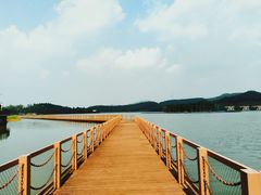 -美的鹭湖森林度假区
