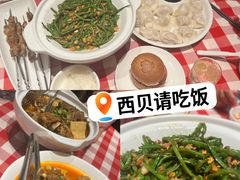 -西贝(华发商都店)