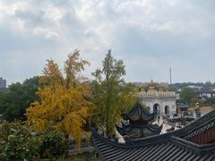 -上海东林寺(金山区)