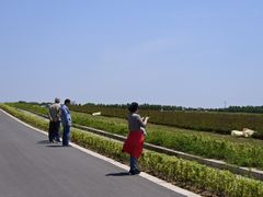 -南京枫彩漫城
