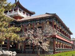 -中国翰园碑林