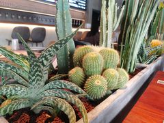 -West10 西拾·西餐厅·创意菜(未来科技城店)