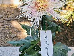 -国家植物园