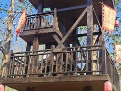 -合肥滨湖国家森林公园