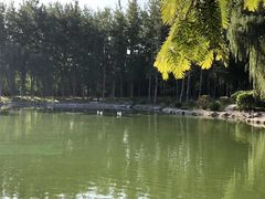 -中家鑫园温泉酒店鑫悦汤泉