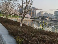 -映月湖中央公园
