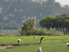 -星湖旅游景区七星岩