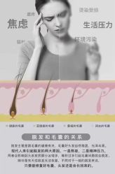 点击看大图 -张昊造型