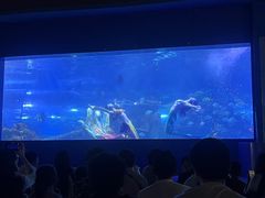 -重庆欢乐海底世界