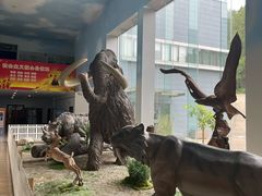 -中国第四纪冰川遗迹陈列馆