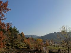 -塔川景区