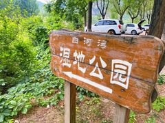 -白河湾生态旅游一条川