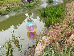 -人民公园(罗湖区)