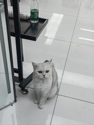 -允·여성헤어女发工作室