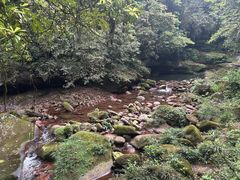 -碧峰峡风景区