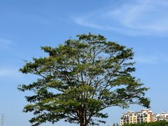 -风云岭森林公园