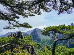 -黄山风景区