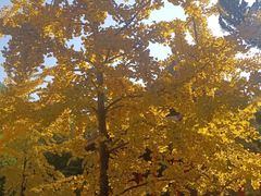 -君怡休闲洗浴会馆