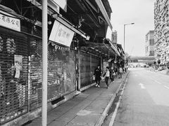 -油麻地果栏